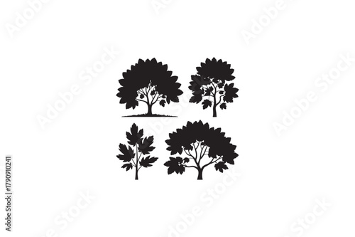 Sycamore Hardwood Maple tree vector silhouettes black image. eps
