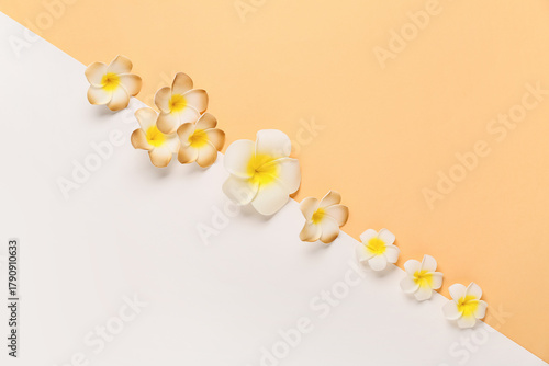 Beautiful plumeria flowers ...