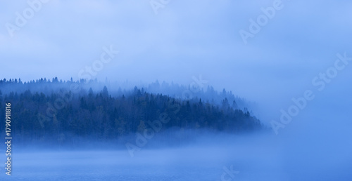 View of the forest partially obscured by a thick blanket of fog, creating an ethereal and mysterious landscape, Sortavala, Russia.