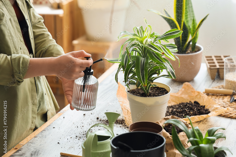 Fototapeta premium Young woman spraying water onto plant in workshop