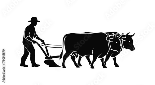 Cultivating the Earth: A farmer diligently plowing a field with the aid of two powerful oxen, a timeless scene of agricultural endeavor.