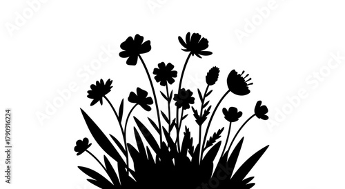 Silhouette of Flowers: A striking black and white silhouette of wildflowers with delicate petals and long stems, set against a bright, airy background. 