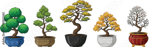 Bonsai tree collection, seasonal foliage styles, decorative pots, minimalist vector art, Japanese garden inspiration, autumn and winter bonsai illustration, tranquil nature decor