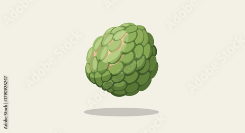 Vibrant Illustrated Custard Apple Floating Above Soft Shadow Depicting Freshness