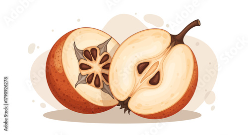 Vibrant Illustrated Cut Fruit Showing Seeds And Skin On White Background