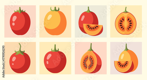 Vibrant Illustrated Display Of A Variety Of Tomatoes And Related Fruits