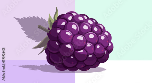 Vibrant Illustration Of Freshly Picked Blackberry With Leaf On Dual-Tone Background