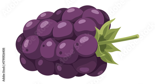 Vibrant Illustration Of Freshly Picked Blackberry With Stem And Leaf Detail