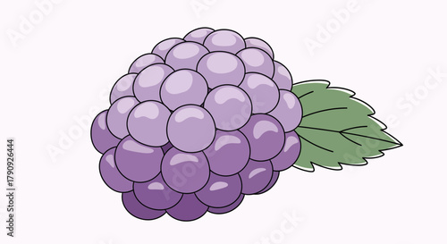 Vibrant Illustration Of Freshly Picked Grapes, Perfect For Design And Decoration Purposes