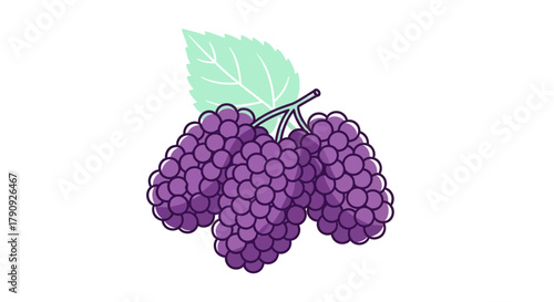 Vibrant Illustration Of Freshly Picked Purple Grapes With Green Leaf And Stems
