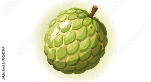Vibrant Illustration of a Green Custard Apple with Detailed Textured Skin and Stem