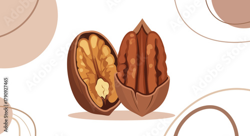 Vibrant Illustration of a Pecan and Walnut, Perfect for Culinary or Healthy Lifestyle Concepts