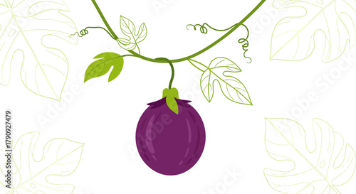 Vibrant Illustration of a Passion Fruit Hanging From Vines With Delicate Foliage and Artistic Flair