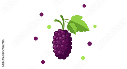 Vibrant Illustration of a Sweet Mulberry Fruit Surrounded by Decorative Accents