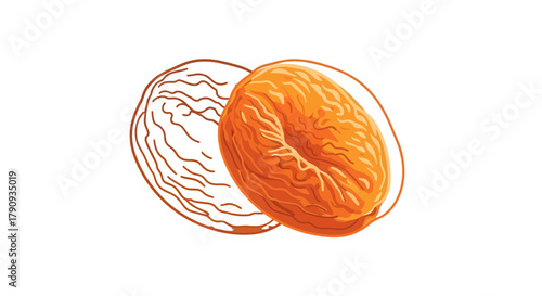 Vibrant Apricot Illustration Against Black Background Artistic Depiction with Organic Forms