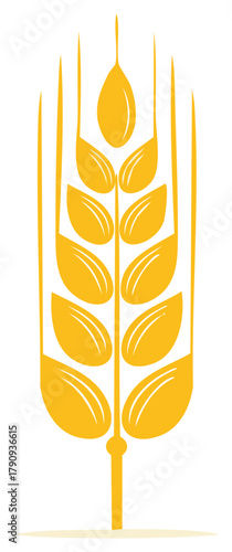 Yellow wheat grain stalk, vector illustration of a cereal plant with leaves, isolated