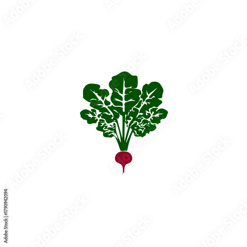 A Simple flat 2D illustration of a radish root isolated, Bright and simple 2D vector set, isolated on transparent background — clean animation-inspired design by me. 
