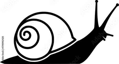 snail silhouette line art vector illustration with a white background
