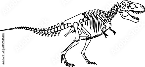 tyrannosaurus rex skeleton silhouette line art vector illustration with a white background
