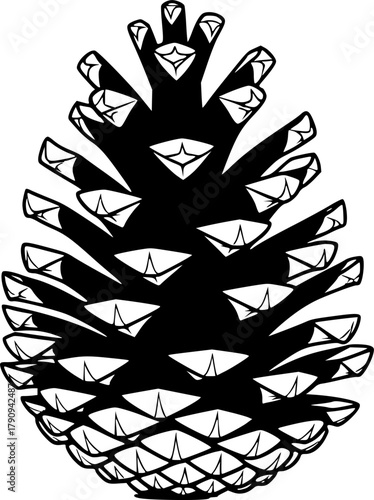 Detailed monochrome illustration presents an intricate pine cone on a clean white backdrop
