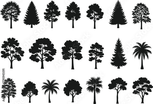 Tree silhouette collection, tropical palm and pine trees vector, forest nature illustration, black botanical landscape design
