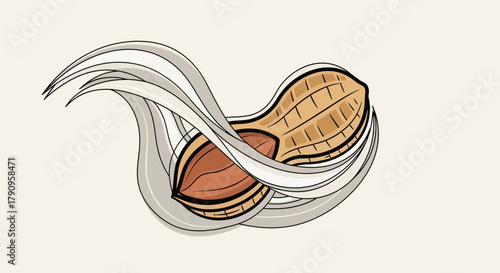 Stylized Illustration Of Peanut In A Shell With Artistic And Dynamic Elements Design