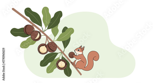 Squirrel Gathering Nuts From Nut Tree, Simple Illustration With Green Background
