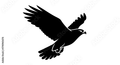 Soaring silhouette of a Hawk: A powerful hawk in mid-flight, its form captured in a striking black silhouette against the sky.