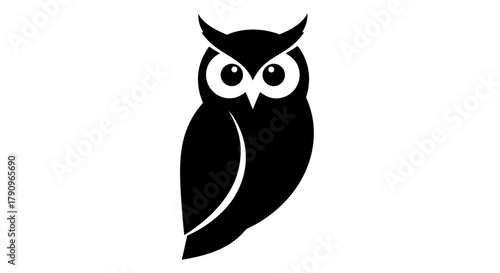 Owl Silhouette: A stark silhouette of an owl, a symbol of wisdom and mystery, perched in serene stillness, its form defined against a background. 