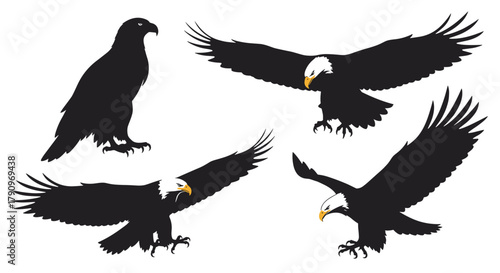 A striking collection of four silhouette illustrations depicting bald eagles in various dynamic poses showcasing their majestic wingspans and powerful talons.