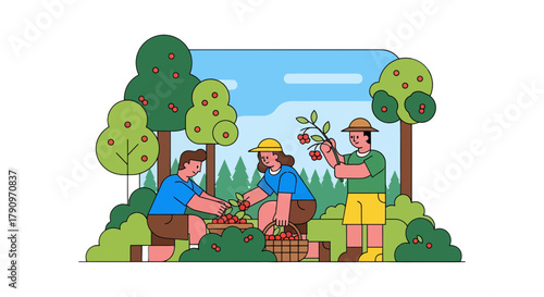 People Harvesting Ripe Fruits in Orchard at Sunny Day, Agricultural Illustration