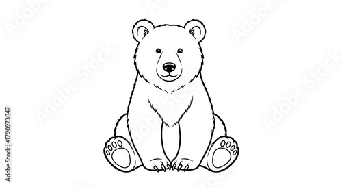 A simple line drawing of a bear sitting upright with a sweet expression on its face and visible paws