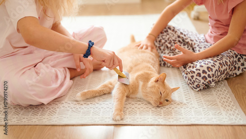 Kids brushing a content ginger cat on indoor carpet