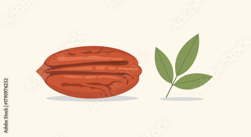 Natural Pecan Nut and Leaf Illustration Depicting Fresh, Organic Food with Delightful Details