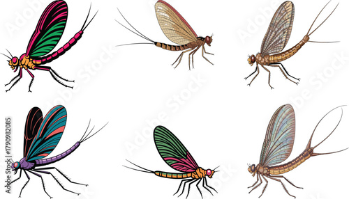 Colorful and Realistic Mayfly Vector Set: Detailed Fly Fishing Nymph and Insect Collection