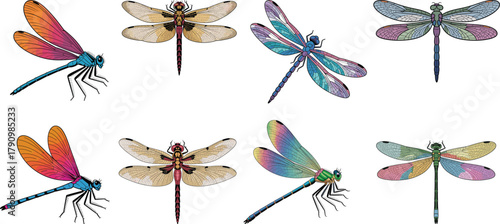Colorful Watercolor and Textured Dragonfly Vector Set: Diverse Odonata Insect Collection