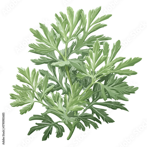 A beautiful, simple EPS format illustration, vector, simple flat 2D icon, minimalist design, icon set, A Simple 2D vibrant wormwood herb illustration isolated on a white background, flower set
