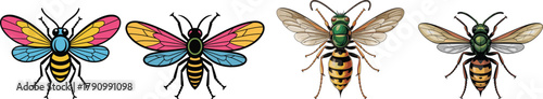 Colorful Stylized Bee and Detailed Wasp Vector Set: Hymenoptera Insect Illustration Collection