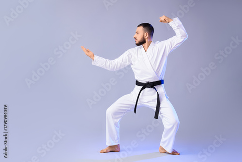 Young male martial artist i...