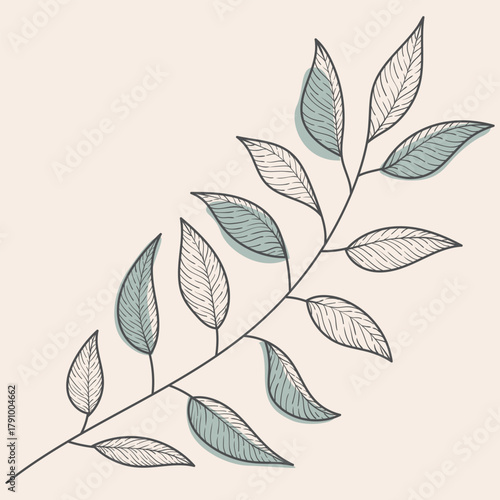 Delicate Hand Drawn Botanical Branch with Shaded Leaves Vector Art