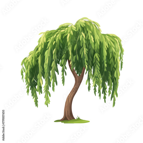 Minimal 2D vector illustration of Willow Tree Sapling in flat icon style on a plain white background.