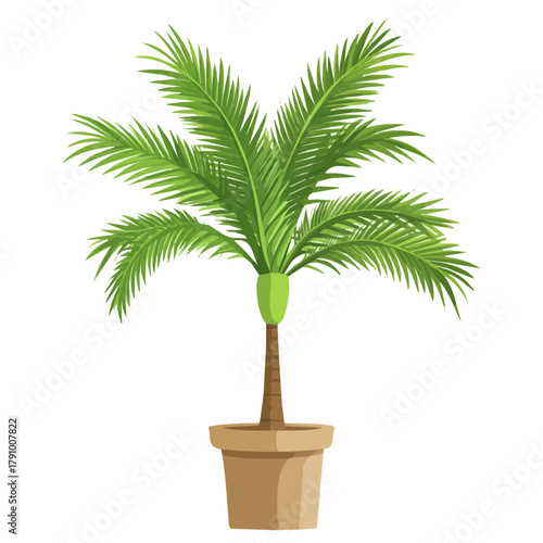 Sago Palm, 2D flat vector illustration, simple and modern style, isolated on a plain white background.