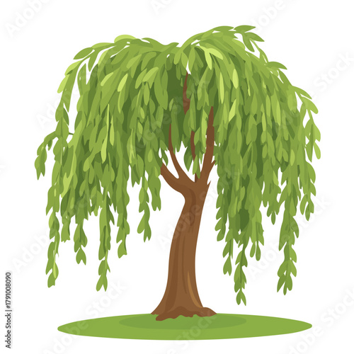 Willow Bark, modern 2D flat vector illustration in icon style, isolated on pure white background.