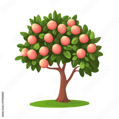 Simple flat 2D vector graphic of Lychee Tree, modern icon look, displayed on a pure white background.