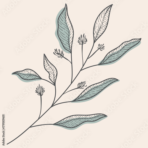 Elegant Vector Line Art Botanical Branch