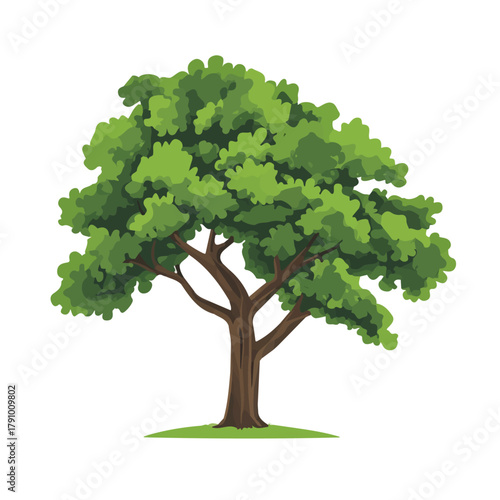 2D flat vector illustration of Oak Tree, clean and minimal icon style, isolated on white background.
