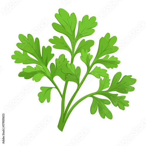 Minimal 2D vector illustration of Parsley in flat icon style on a plain white background.