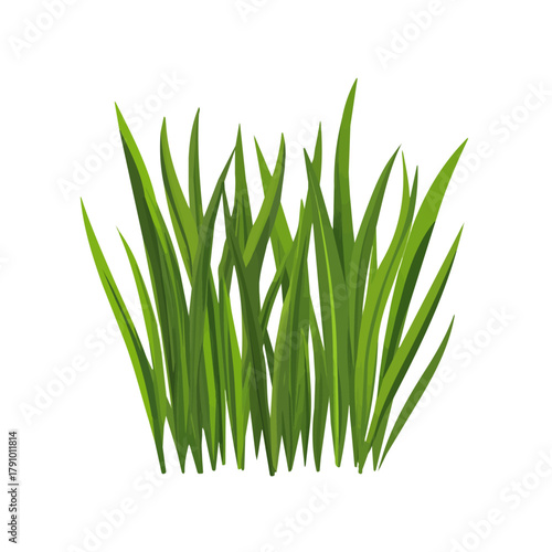 2D flat vector illustration of Wheatgrass, clean and minimal icon style, isolated on white background.