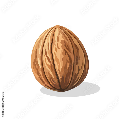 Nutmeg, 2D flat vector illustration, simple and modern style, isolated on a plain white background.