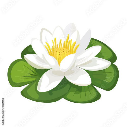 Water Lily, 2D flat vector illustration, simple and modern style, isolated on a plain white background.